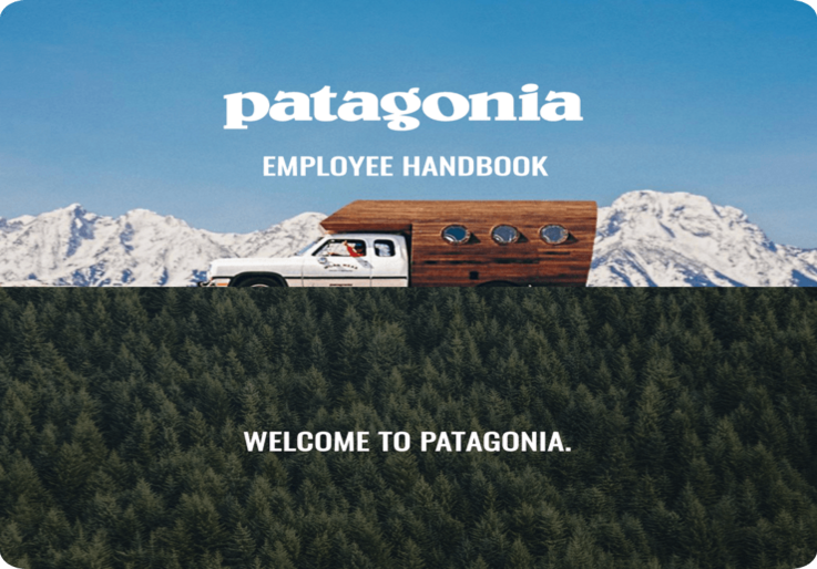 patagonia logo